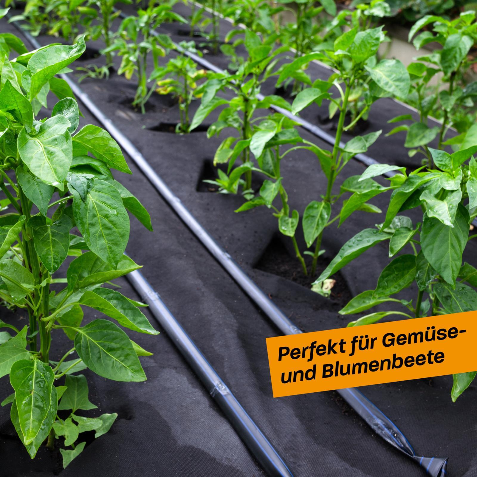 Gartenvlies im Einsatz zur Unkrautbekämpfung und Bodenabdeckung im Beet Gartenarbeitsbereich mit ausgerolltem schwarzem Gartenvlies auf einem Beet; im Hintergrund grüne Sträucher und eine Schubkarre.