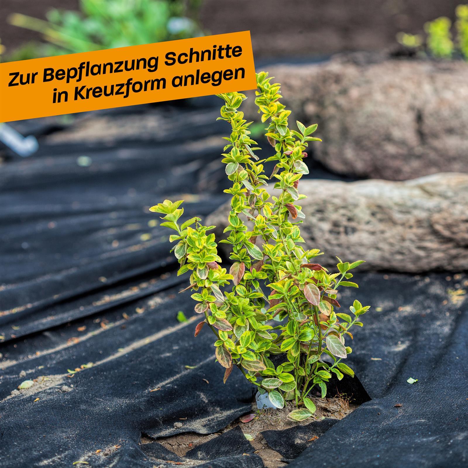 Gartenvlies zur Unkrautbekämpfung und Bodenabdeckung im Außenbereich Zwei Hände rollen schwarzes Gartenvlies auf einem frisch umgegrabenen Beet im Freien aus.